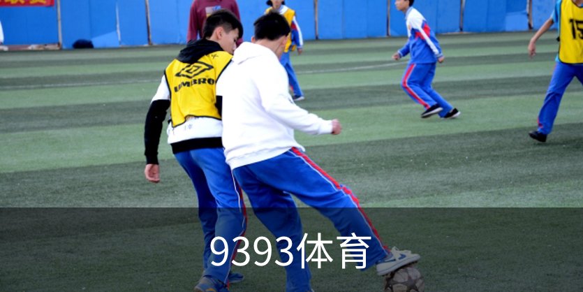 关于9393体育